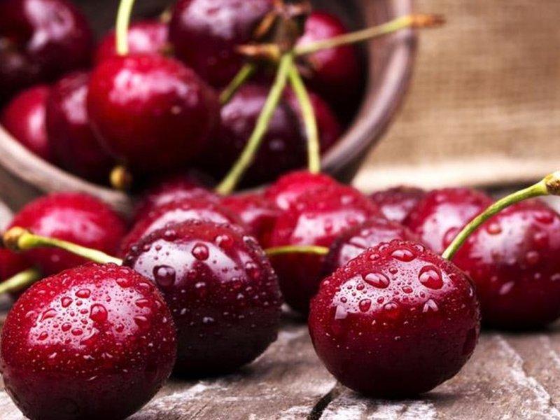 Вишня купить саженцы из питомника в Искитиме